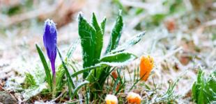 В Укргидрометцентре рассказали, когда вернутся морозы