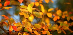 Идут дожди, ветер и похолодание: синоптик рассказала, вернется ли еще теплая погода