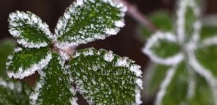 В Украине резко изменится погода, местами будут заморозки