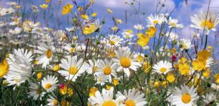 Чекаємо на спеку під 40 градусів і вище: прогноз погоди в Україні на серпень