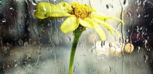 Похолодає до +15℃ вдень: синоптики оновили прогноз погоди в Україні