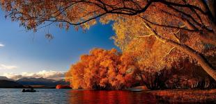 Тепло відступає: прогноз погоди в Україні на вихідні