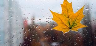 В Україну йдуть дощі: синоптики розказали, де буде мокро