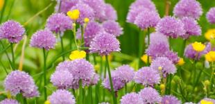 Погода дозволить перевести подих: синоптикиня розповіла, чи чекати спеки найближчими днями