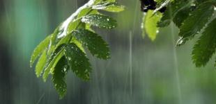 Стовпчики термометрів досягнуть 30 градусів: синоптики дали прогноз до кінця тижня й розповіли, де чекати на грози