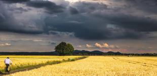 Штормове попередження в Україні на 27 липня: які області накриє негода