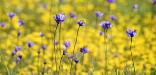 Коли припиняться дощі: синоптик розповів про погоду на тиждень