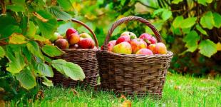 Прогноз погоди на вихідні 19–20 серпня: по всій Україні спека