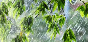 Дощі та грози накриють всю Україну: прогноз погоди на 11 червня