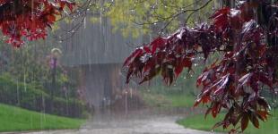 В Україні різко похолодає: синоптики назвали дату