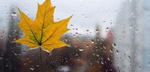 Опади накриють країну атмосферним фронтом у другій половині тижня, 14-17 вересня