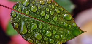 Перед вихідними в Україну увірветься похолодання з дощами та грозами