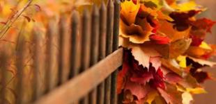 Коли буде похолодання в Україні: чи вдарять морози найближчими днями