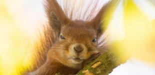 Синоптик дала прогноз погоди на осінь: що чекає українців