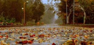 Циклон принесе в Україну похолодання з дощами та мокрим снігом – синоптики