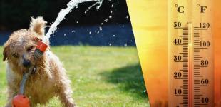 У вівторок спека в Україні посилиться: розігріє до +33°