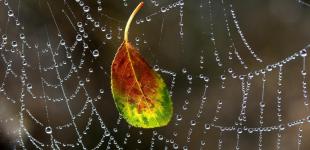 На вихідних погода в Україні зіпсується, - прогноз