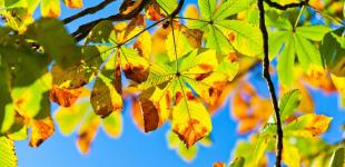 Скоро погода в Україні покращиться, спрогнозувала Діденко