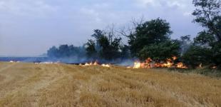 Палити суху траву заборонено, бажаючих чекають штрафи: скільки доведеться заплатити