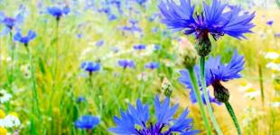 В Україні на 