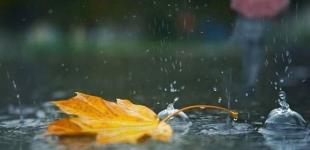 В четвер в Україні буде волого та досить тепло