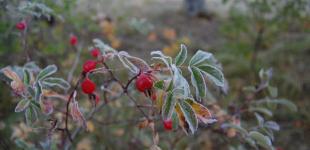 Заморозки та сильний вітер: прогноз погоди в Україні на 10 жовтня