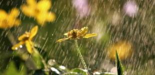 В Україні погіршиться погода: синоптики дали детальний прогноз на четвер