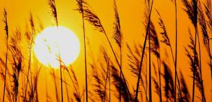 Серпень буде аномальним: вчена розповіла, чим здивує погода українців в кінці літа