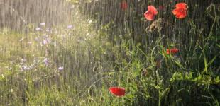 Метеоролог — про погоду наступного тижня, а також про штормові попередження, небезпечні явища і омріяні +20