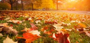 Ранні снігопади і люті морози: прогноз погоди в України з жовтня до січня