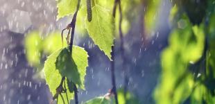 Дощі з грозами очікуються на більшій частині України: прогноз погоди на вихідні