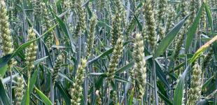 Гороскоп на 1 липня для всіх знаків зодіаку: день, коли енергія битиме ключем