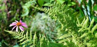 Гороскоп на 19 серпня для всіх знаків зодіаку: день, коли нас переслідуватиме невдоволення світом