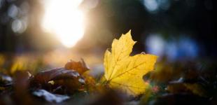 Коли в Україні температура впаде для початку опалювального сезону: прогноз синоптиків