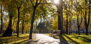 Прогноз погоди на вихідні 21–22 жовтня: майже в усіх регіонах потеплішає