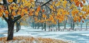 Ранні снігопади: прогноз погоди в України з жовтня до січня