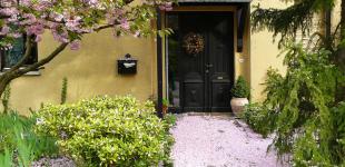 Дерева, які потрібно і не можна садити біля будинку: прикмети наших предків