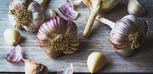 Як садити часник на зиму: поради досвідчених садівників