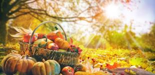 Гороскоп на 12 жовтня для всіх знаків зодіаку: день потужної творчої енергетики