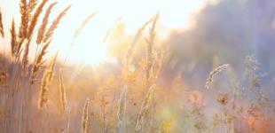 Гороскоп на 3 вересня для всіх знаків зодіаку: день, коли є ризик стати жертвою ошуканства