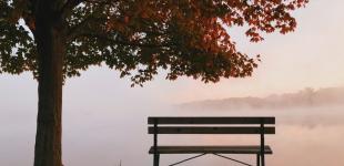 Якою буде погода в Україні в кінці вересня та на початку жовтня: прогноз синоптиків