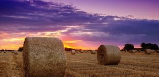 Гороскоп на 9-10 серпня для всіх знаків зодіаку: дні реалізації серйозних проєктів