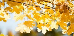 Прогноз погоди на 25 вересня: невелика хмарність, на заході – туман