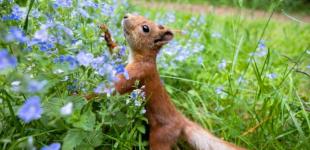 Синоптикиня повідомила, коли в Україні нарешті спаде спека