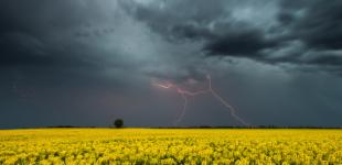 В Україні 25 червня дощитиме, вдень до 31°