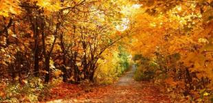 В Україну йде потепління - на вихідні прогнозують до +26°