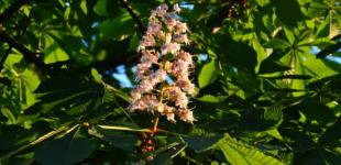 На 2 червня прогнозують дощі та грози, вдень до +28°