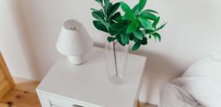 Квіти в спальні: які вазони не можна ставити в кімнаті, де ви спите