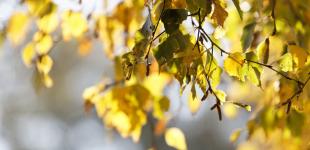 Гороскоп на 28 вересня для всіх знаків зодіаку: день, коли потрібно активно діяти