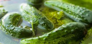 Як солити огірки: топ-5 рецептів